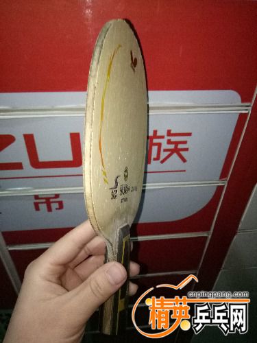 IMG20170406002415.jpg