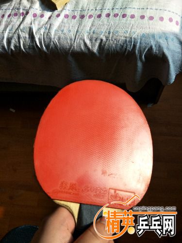 IMG20170117112534.jpg