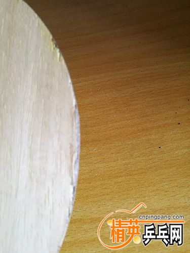 IMG_20170407_090926.jpg