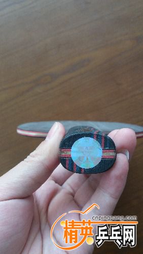 20170409_073115.jpg