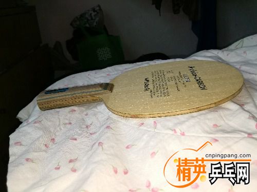 IMG_20170409_151921.jpg