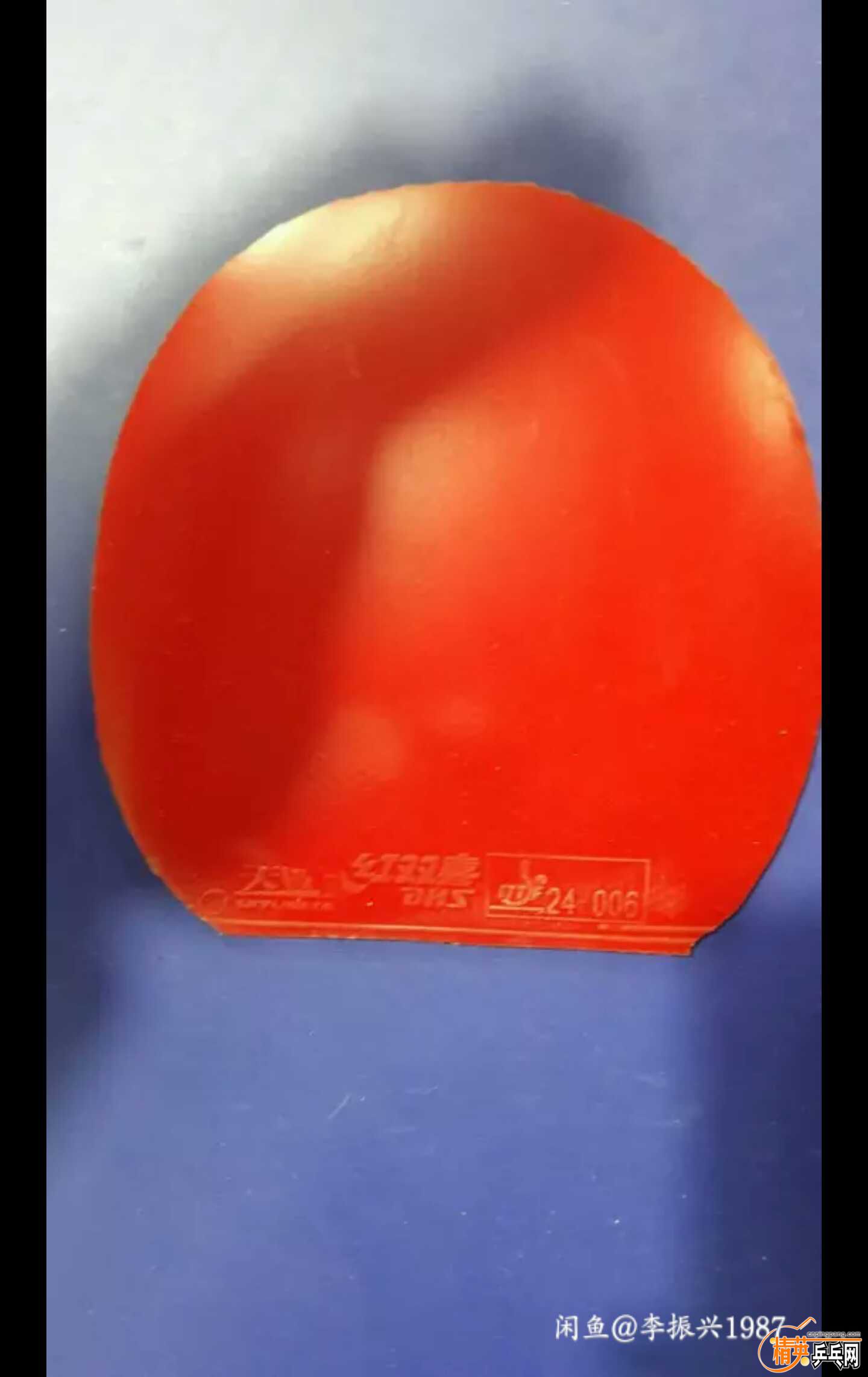 1491788098349.jpg