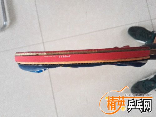 IMG_20170406_073850.jpg