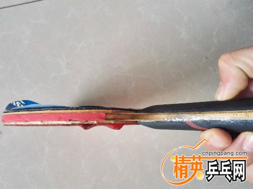 IMG_20170406_073814.jpg