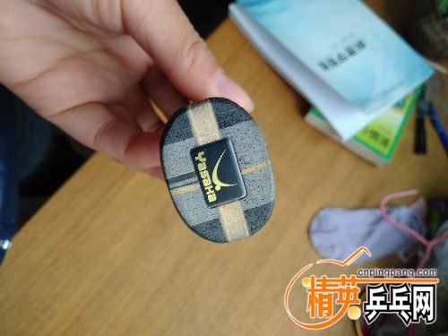 IMG_20170409_122903.jpg