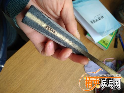 IMG_20170409_122911.jpg