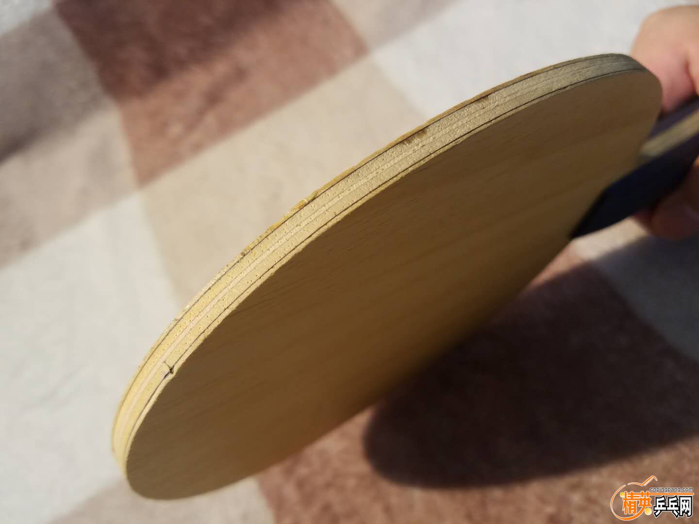 409930450.jpg