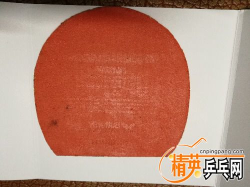 IMG_20170412_201203.jpg