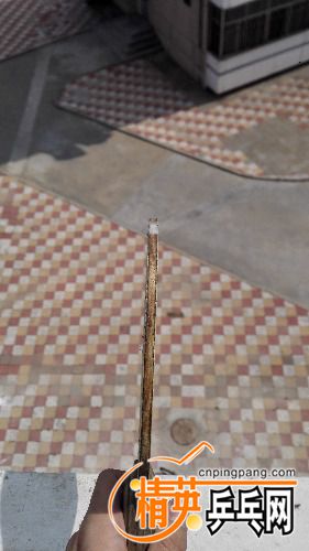 IMG_20170413_130019.jpg