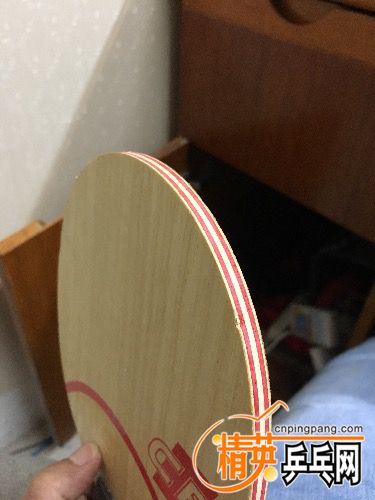 IMG_4730.JPG