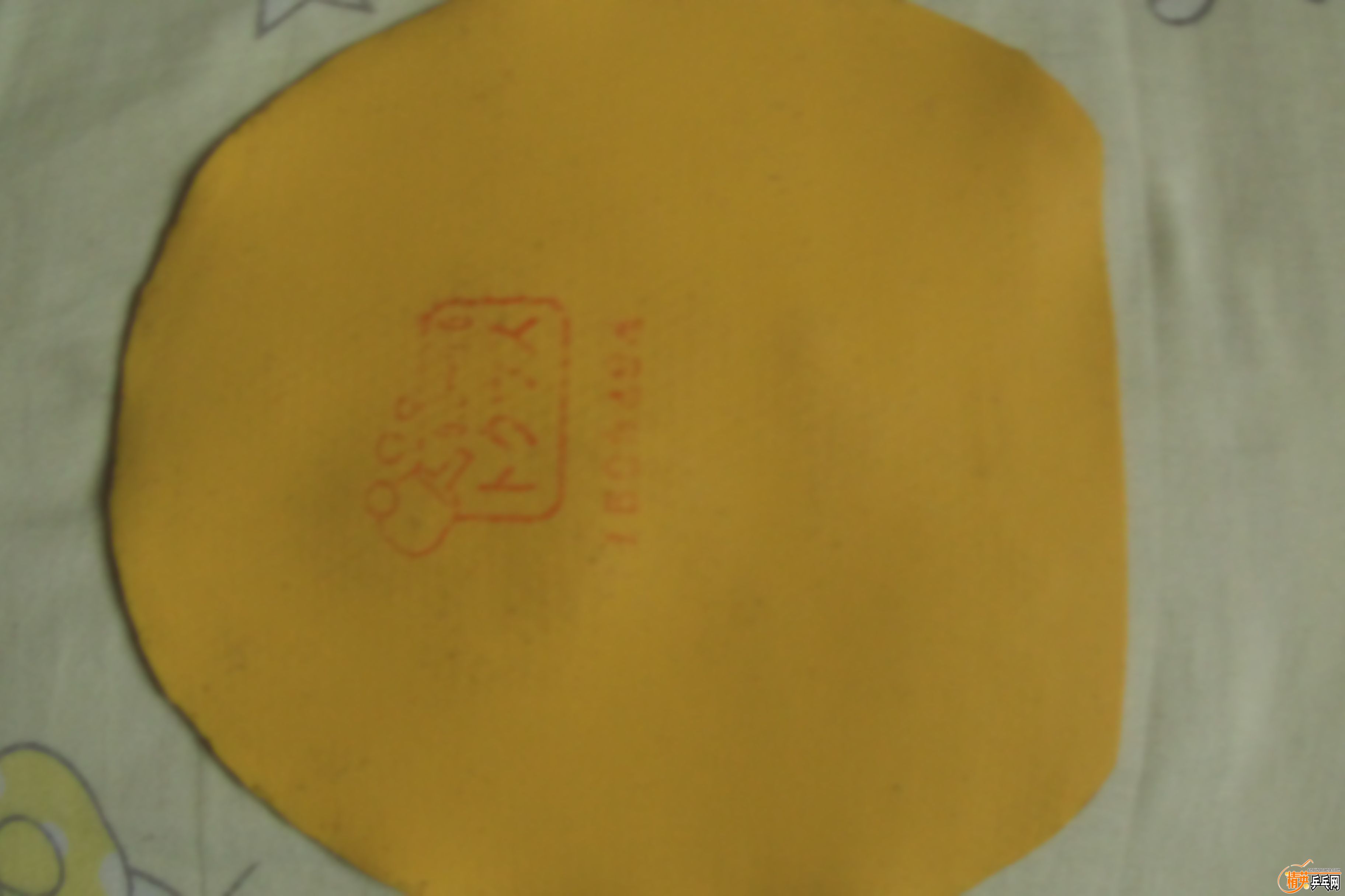 ISAW0259.jpg