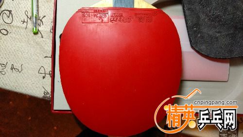IMG_20170413_220356.jpg