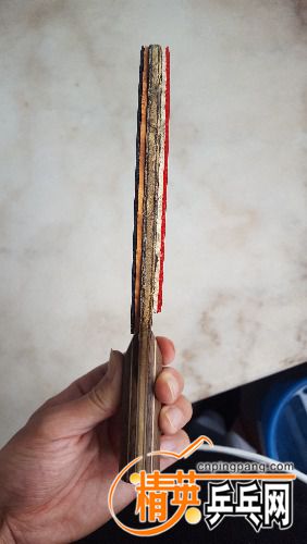 20170418_130845.jpg
