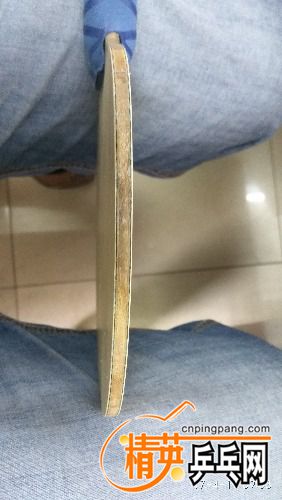 IMG_20170419_093301.jpg