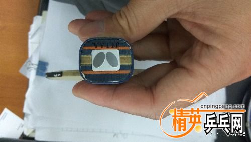 IMG_20170419_092846.jpg