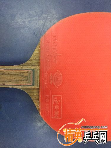 IMG_20170420_162426.jpg