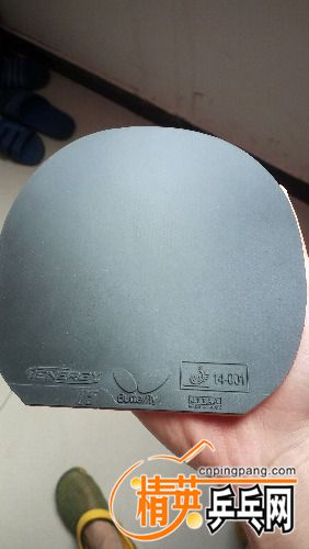 IMG_20170420_141550.jpg