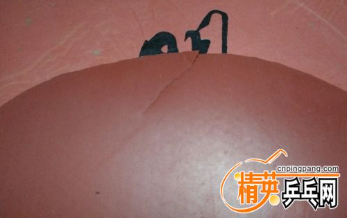 224717bxdxvjctdt5r7xtt.jpg