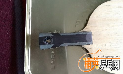 P70424-140559.jpg
