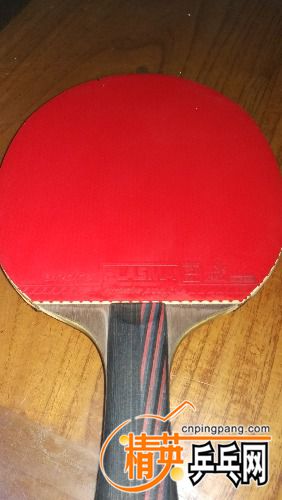 IMG_20170425_071730.jpg