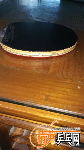 IMG_20170425_071652.jpg