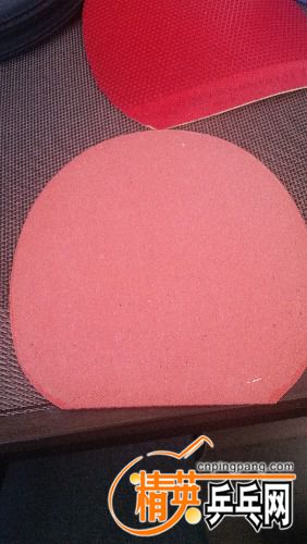 20170425_134904.jpg