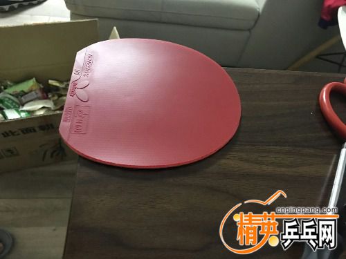 mmexport1493130203224.jpg