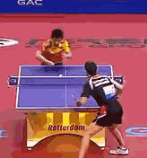 0 (2).gif