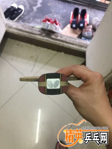 mmexport1493291161587.jpg