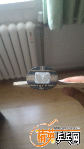 P_20170428_170922.jpg