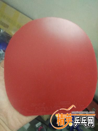 IMG_20170423_211902.jpg