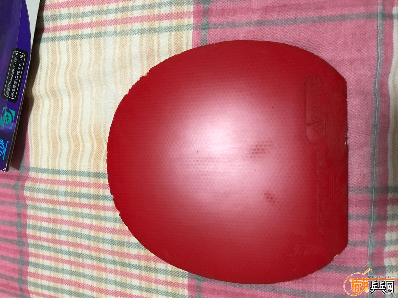 tsp1.jpg