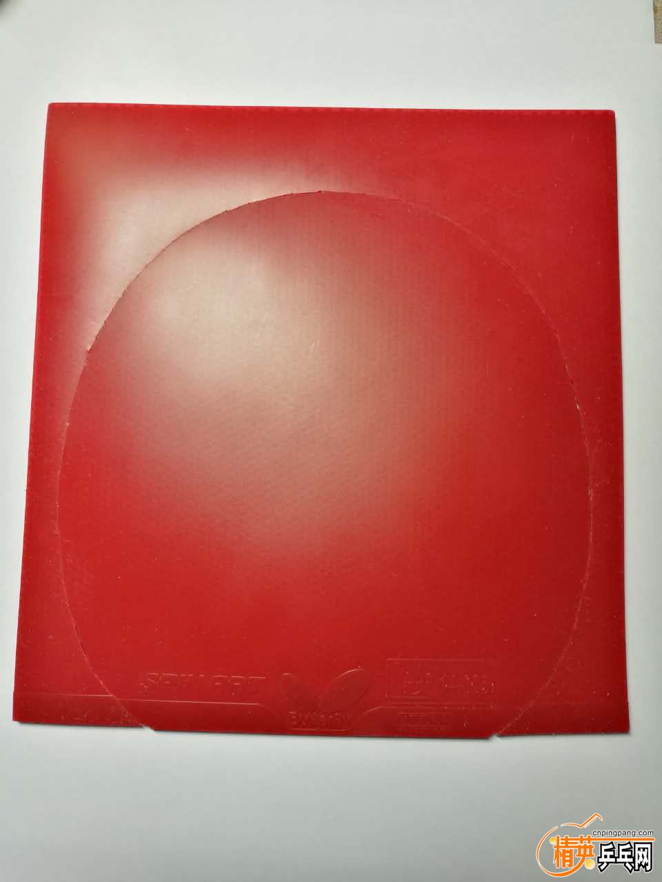17191084548207850.jpg