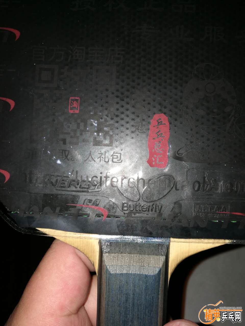 579927248473528025.jpg