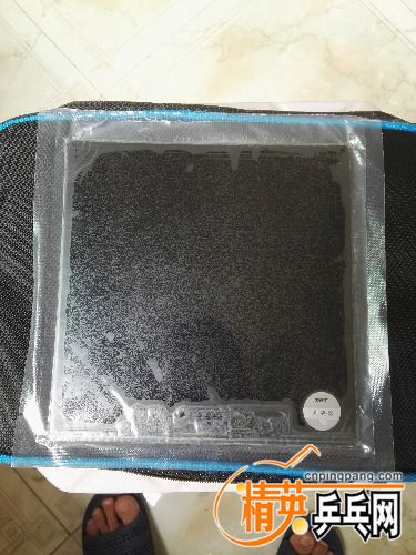 IMG_20170505_141335.jpg
