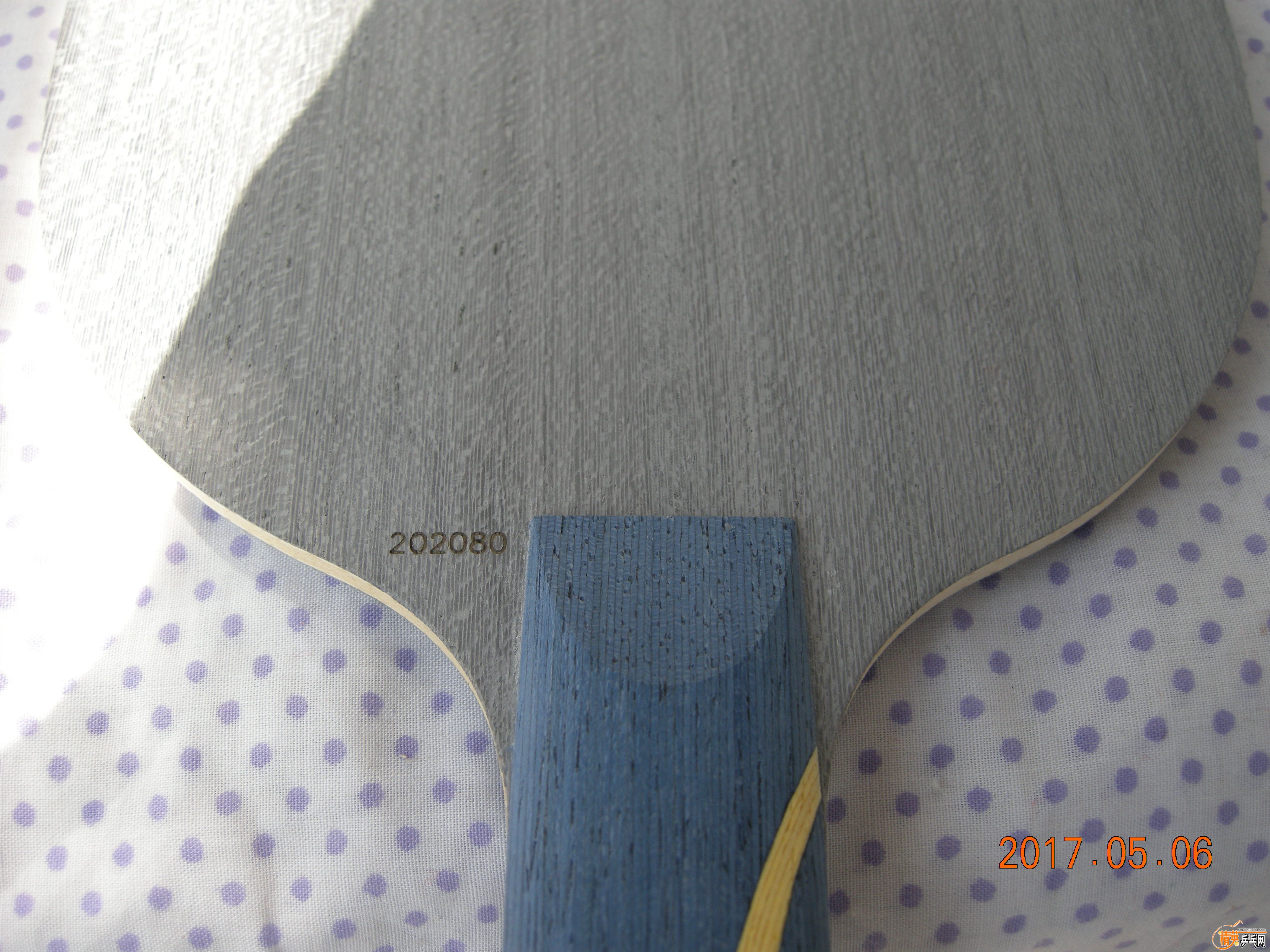 DSCN9074.JPG