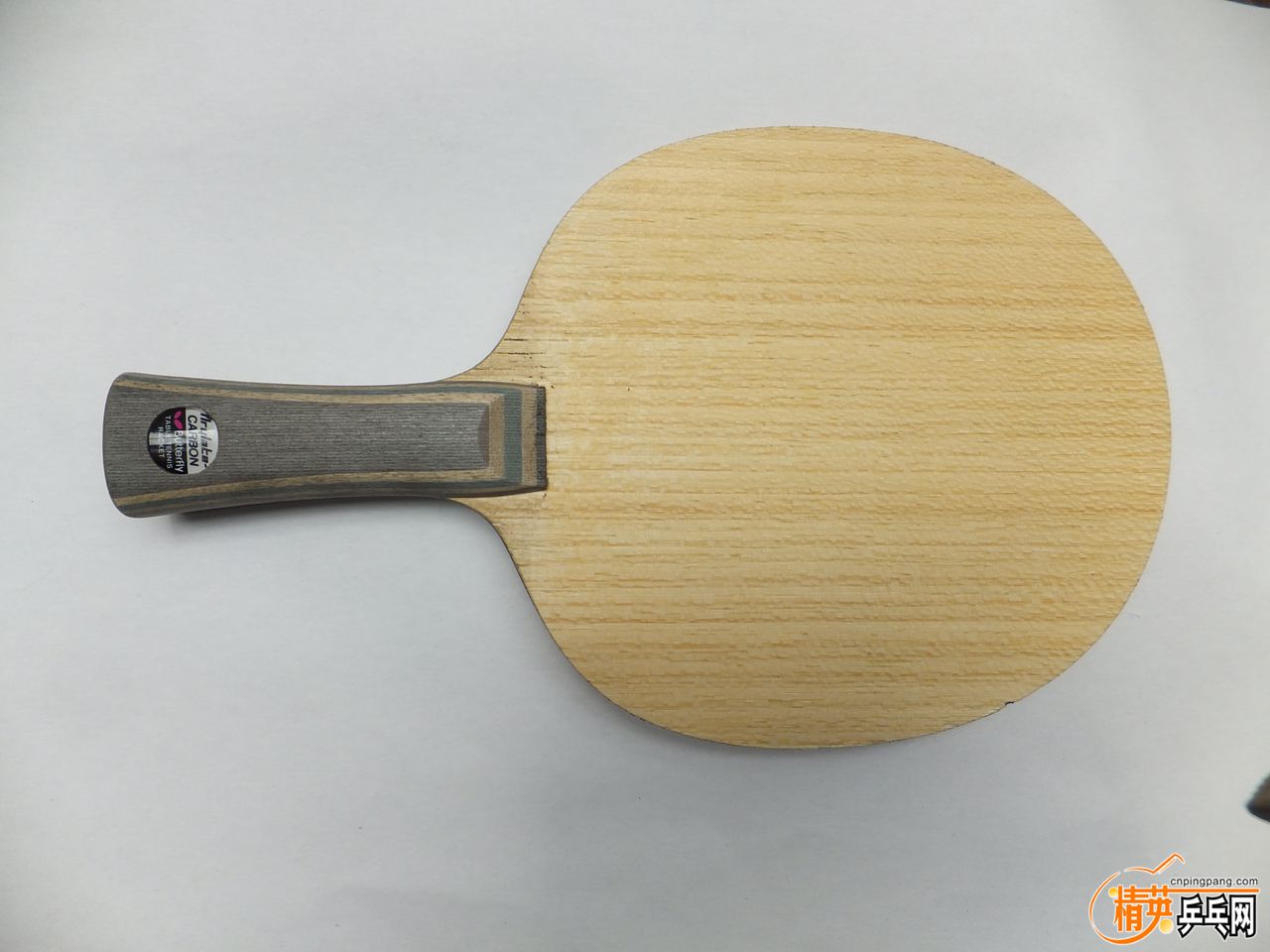 PVIS2.jpg
