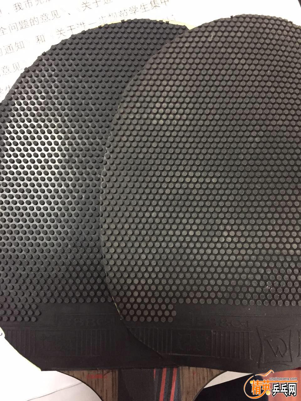 ��������Ͽ�������������