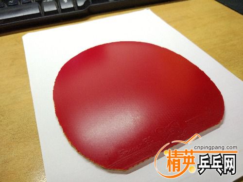 IMG_20170506_021532.jpg