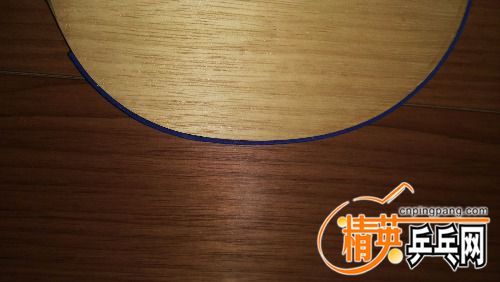IMG_20170511_151345.jpg