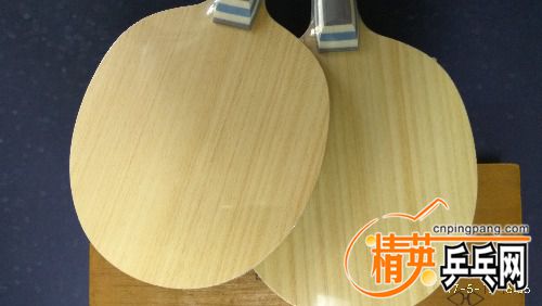 IMG_20170513_160625.jpg