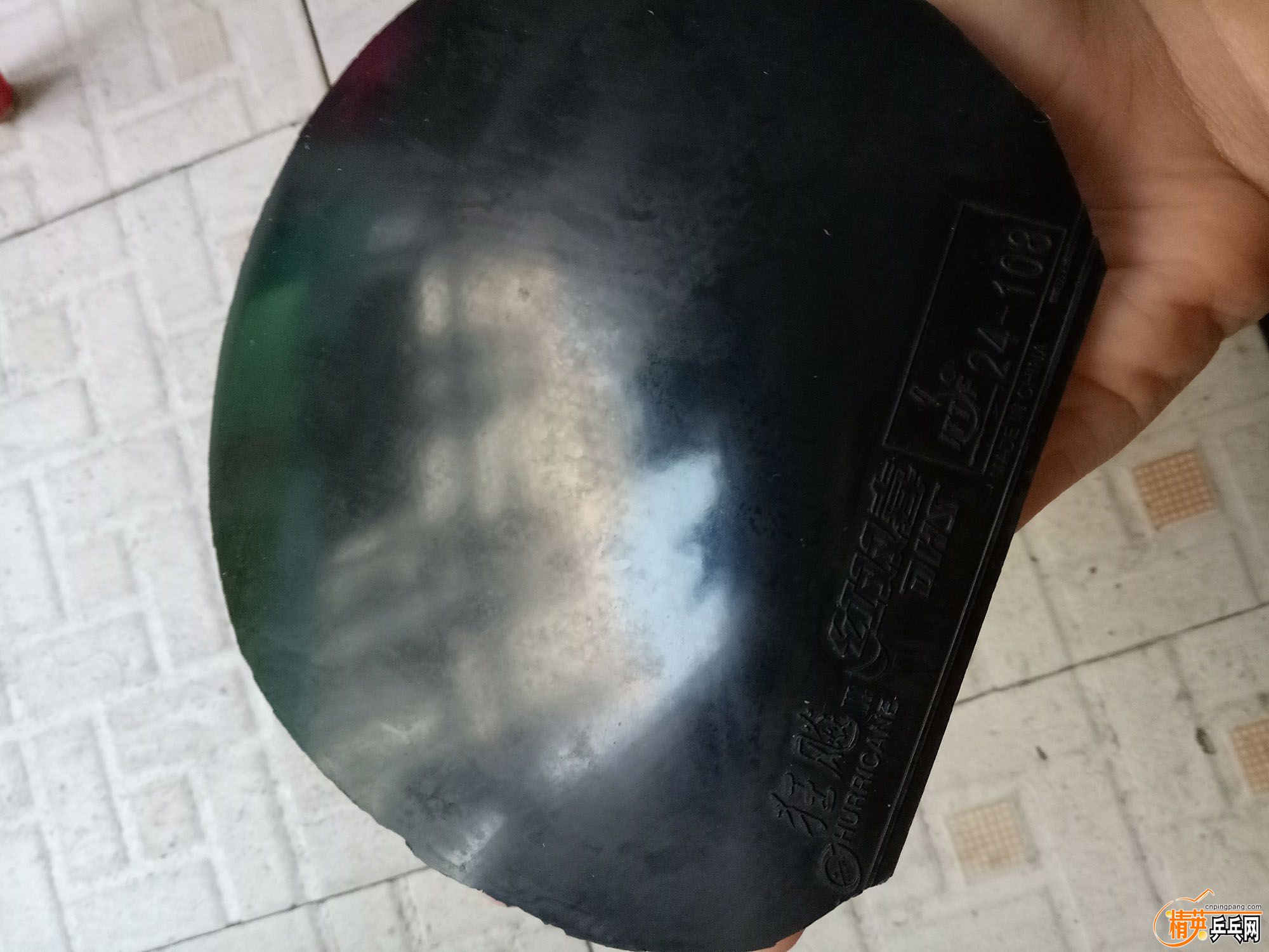 IMG20170515190502.jpg
