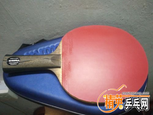 IMG20170515234357.jpg