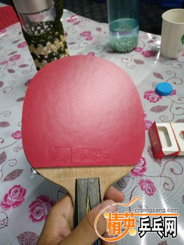 IMG_20170517_184545.jpg