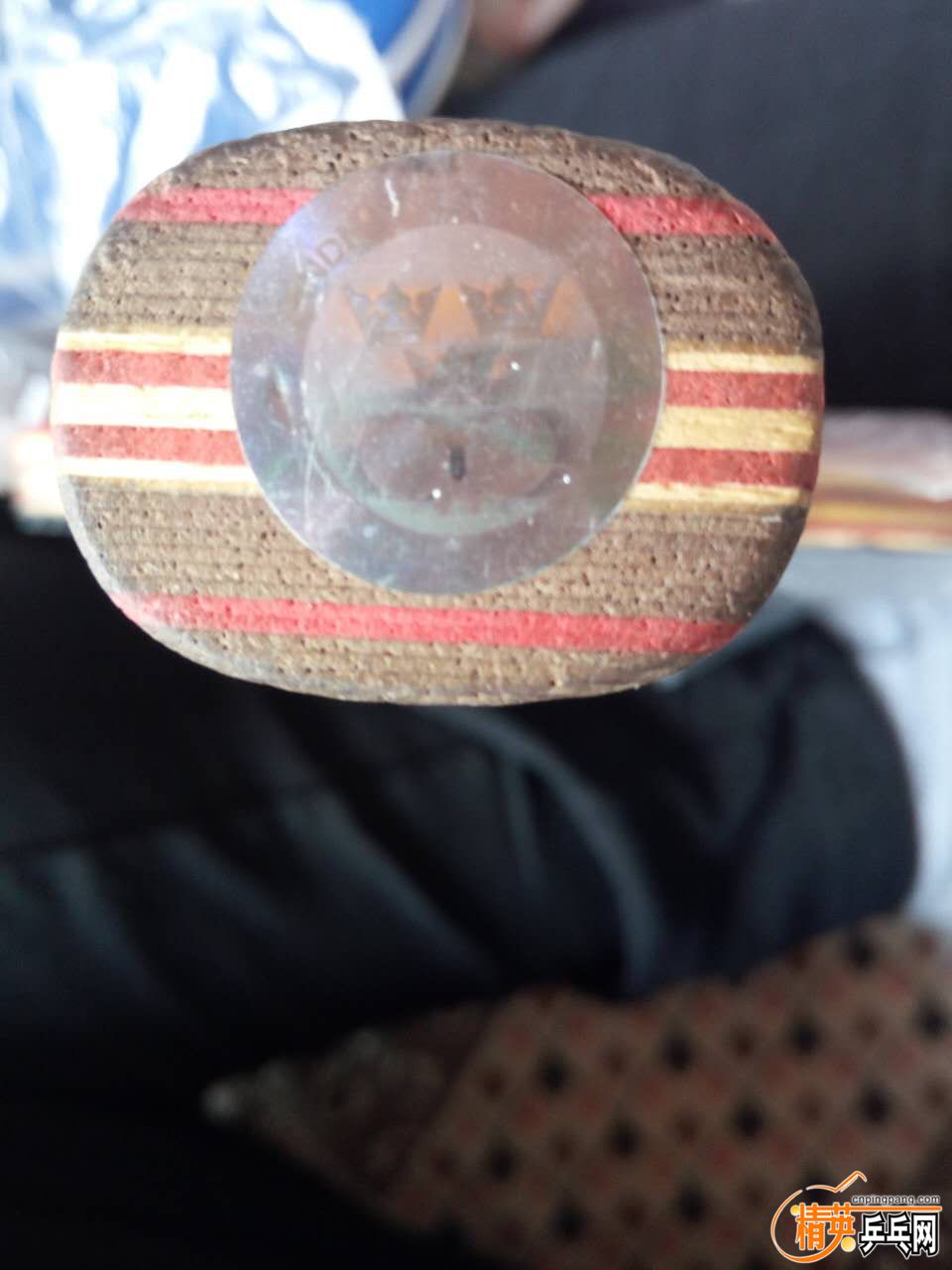 446635011731820678.jpg