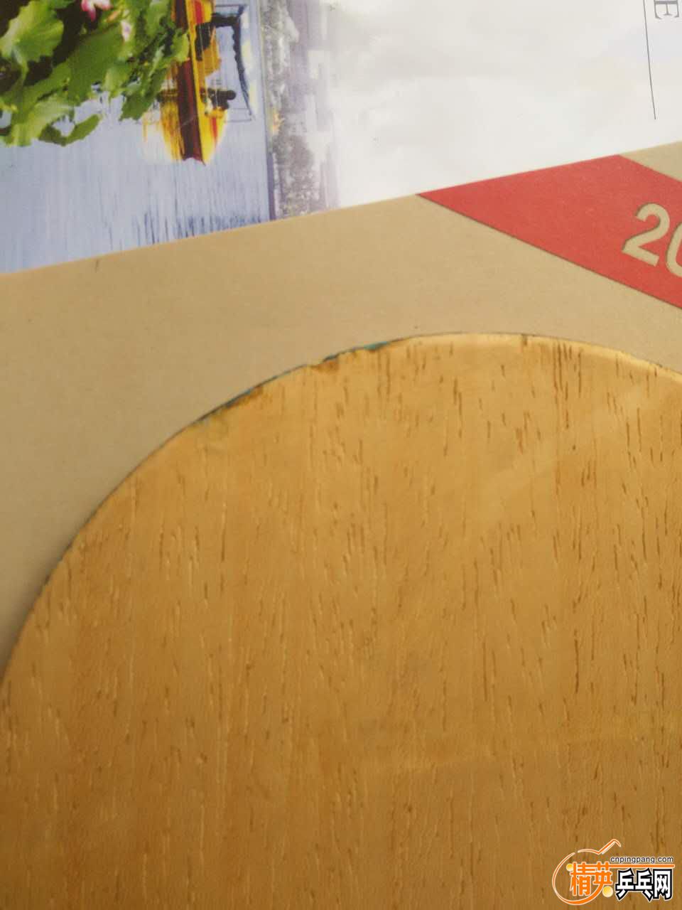 ΢��ͼƬ_20170407103032 - ����.jpg