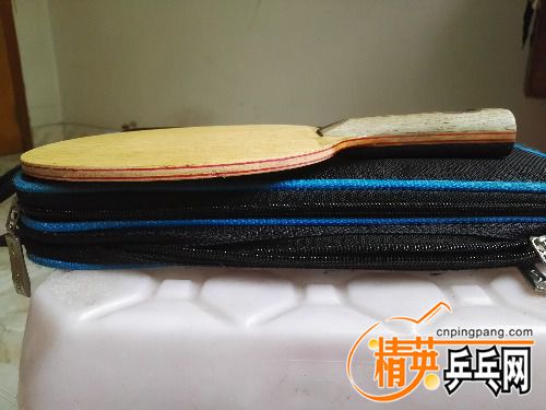 IMG_20170420_110301.jpg