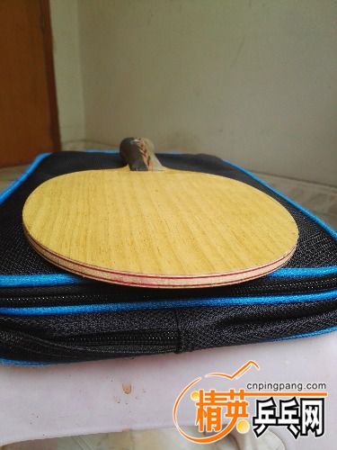 IMG_20170420_110910.jpg