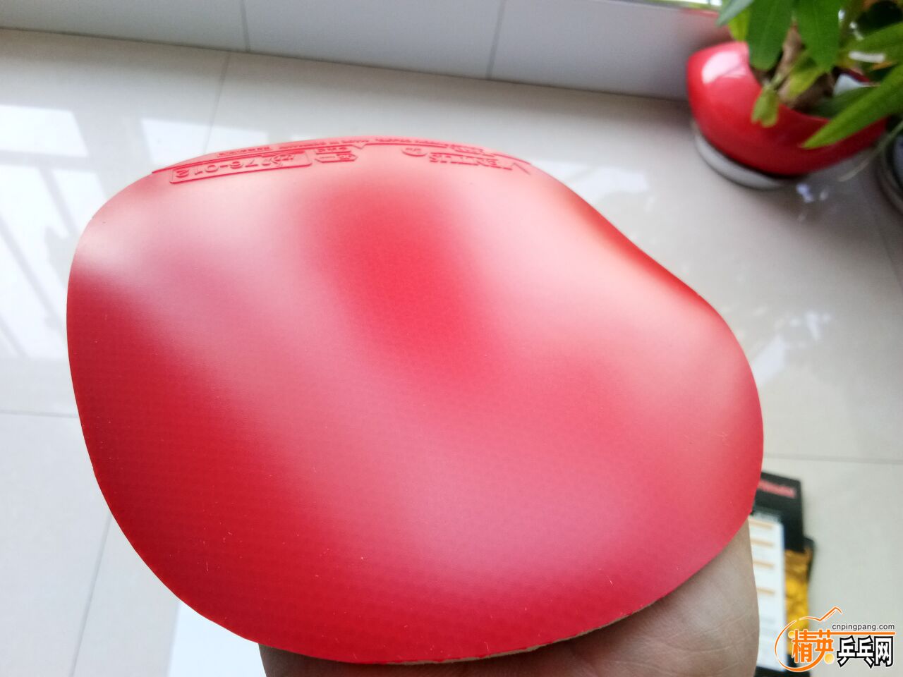 QQͼƬ20170527080830.jpg