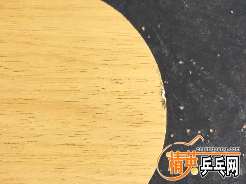 IMG20170504074828.jpg